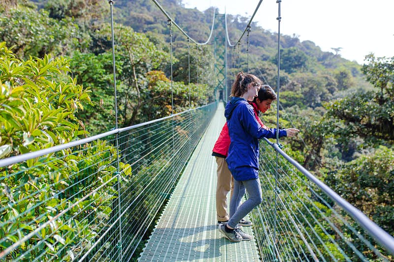 Canopy Walk