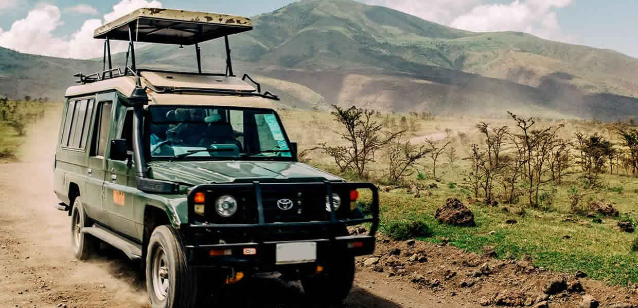 SUV Rental